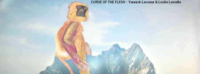 Les Petits D&eacute;lices