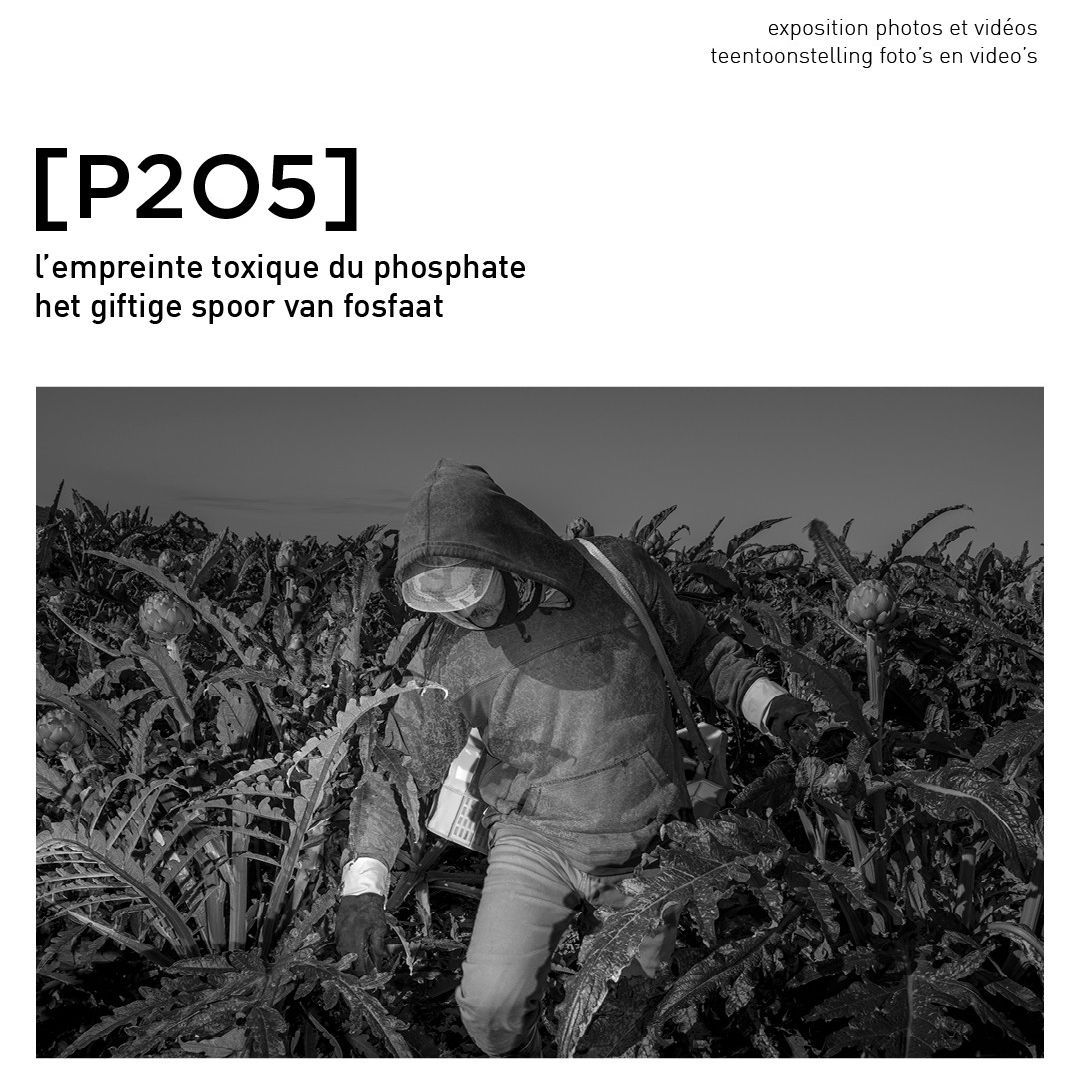 Exposition [P2O5] L’empreinte toxique du phosphate - 