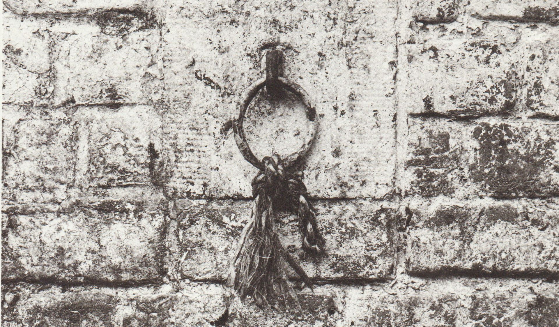 Couverture du film Abattoirs