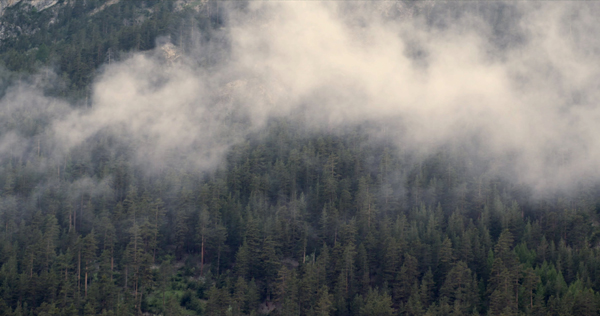 Couverture du film Alpes