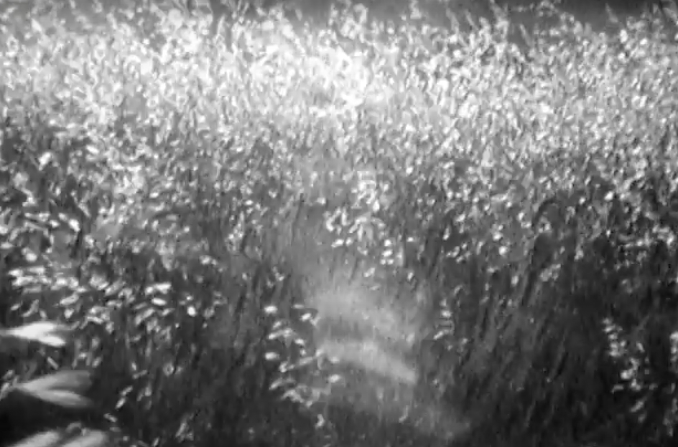 Couverture du film Amazing Grace