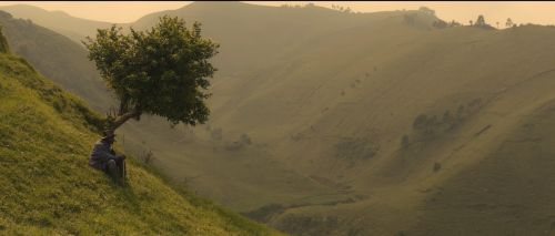 Couverture du film Amuka - L'Éveil des paysans congolais