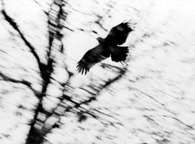 Couverture du film Anton Webern