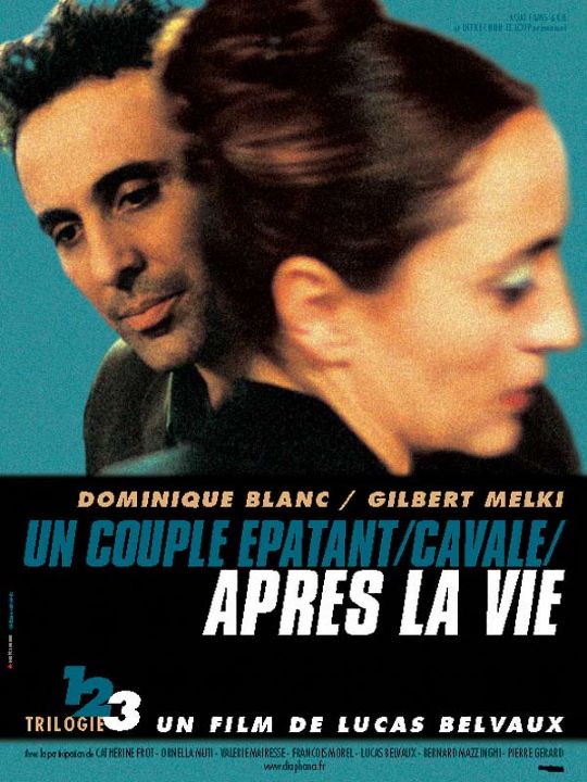 Couverture du film Après la vie