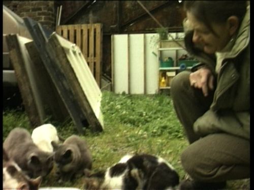 Couverture du film L'argent des pauvres