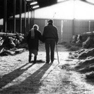 Couverture du film Auguste et Marie