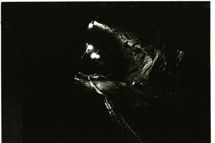 Couverture du film L'Avenir est un long passé