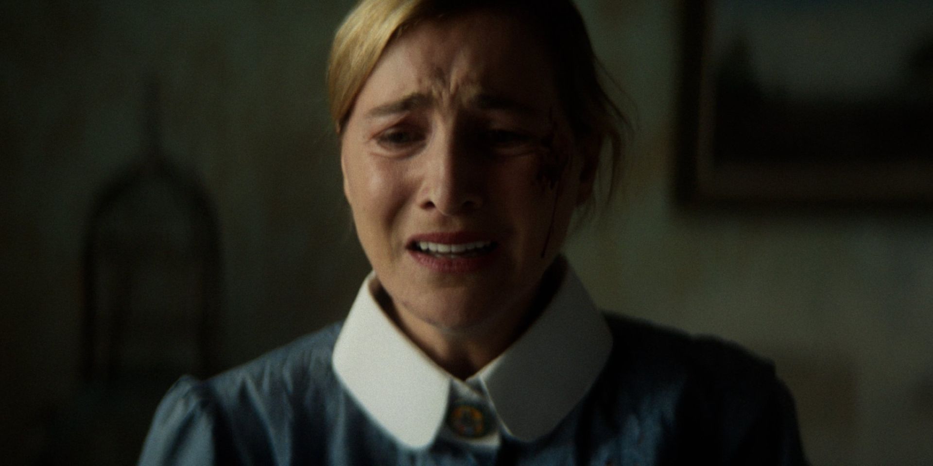 Couverture du film Birdcage