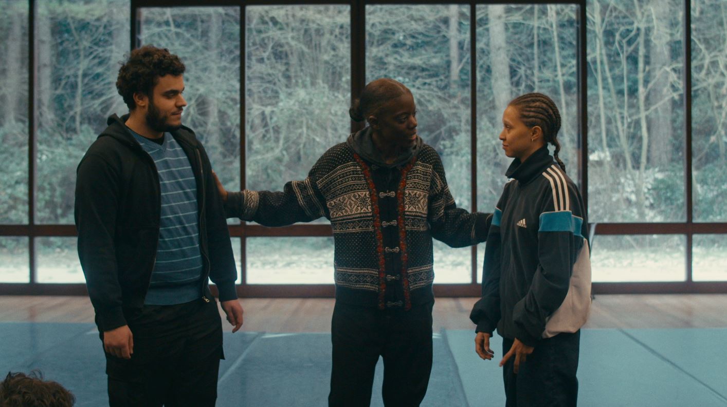 Couverture du film Blanc comme neige