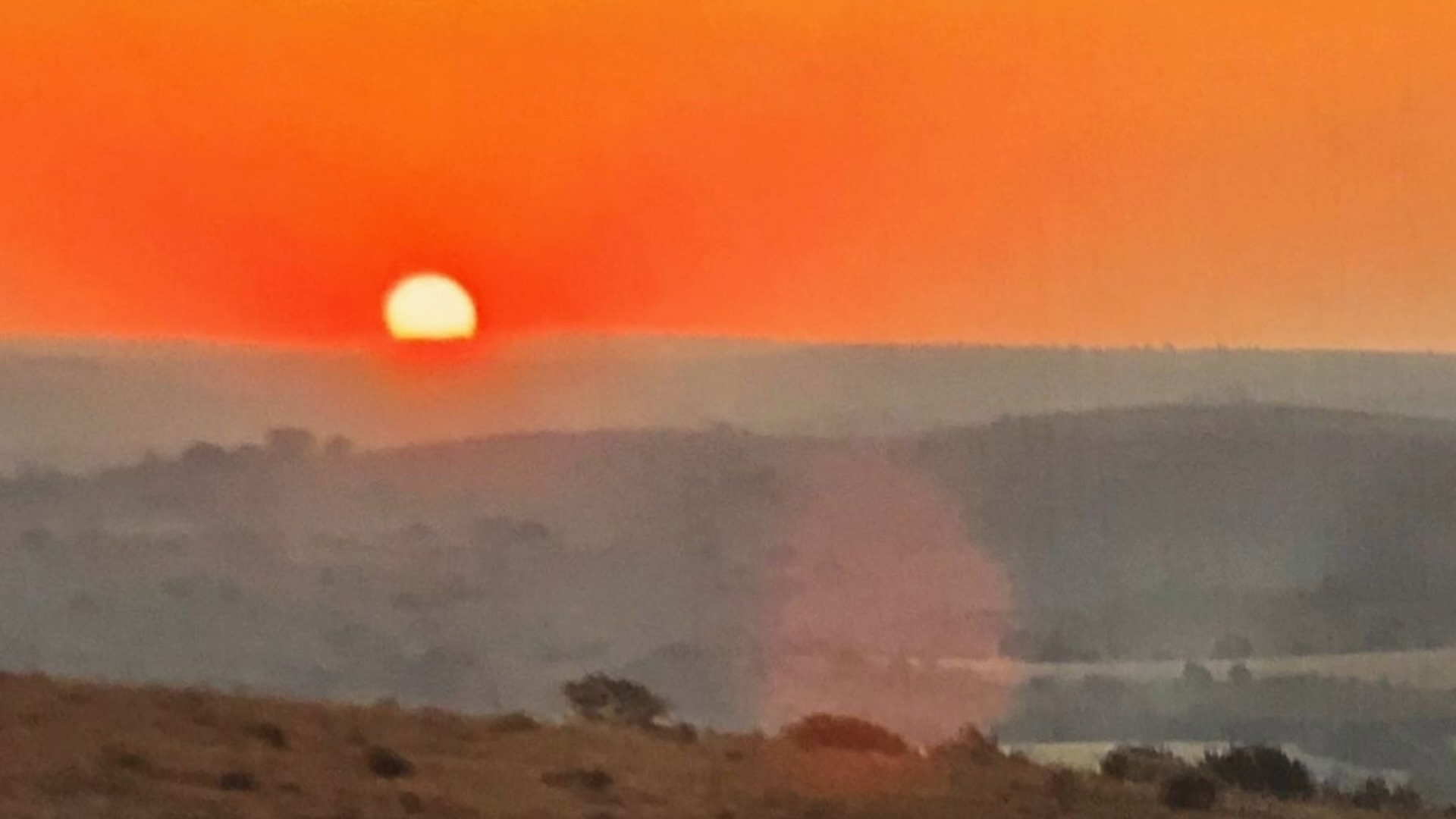 Couverture du film Branden