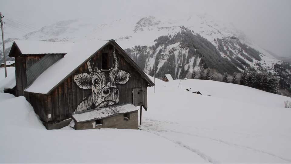 Couverture du film C'est assez bien d'etre fou