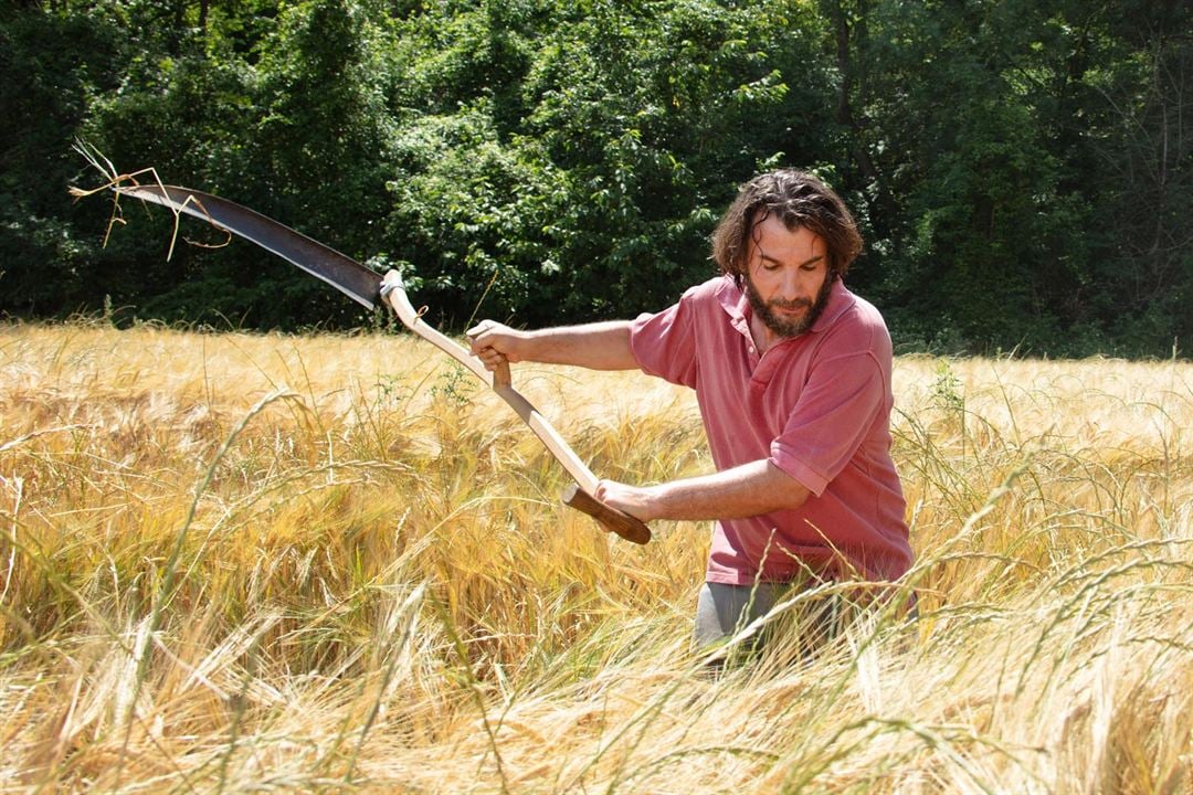 Couverture du film C'est le monde à l'envers !