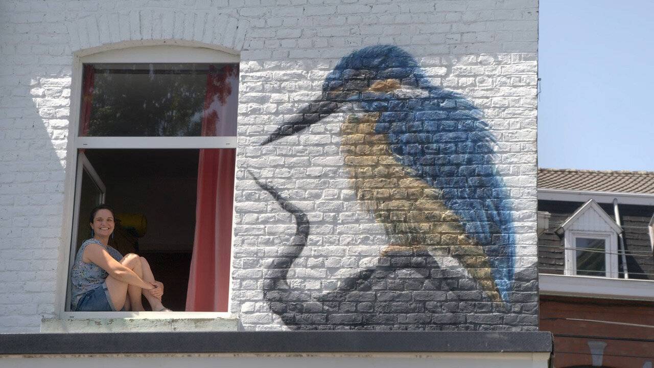 Couverture du film Casser les codes