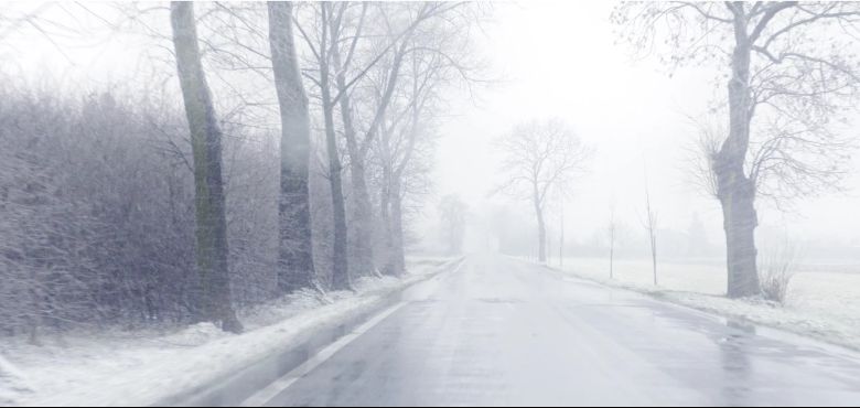 Ce qui nous restera d'Auschwitz - 