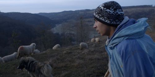 Couverture du film Ceux qui restent