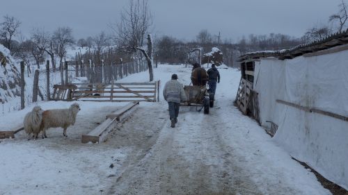 Ceux qui restent en Avant-première le 29 mai au Cinéma Palace - 