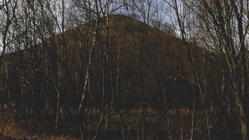 Couverture du film Charleroi: le pays au 60 montagnes