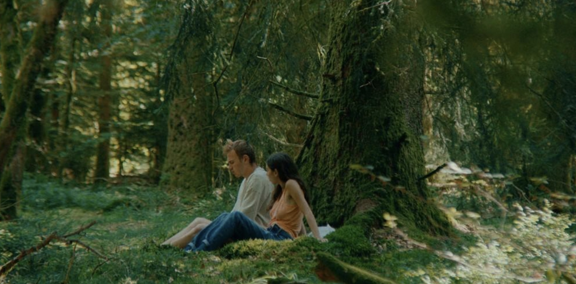 Couverture du film Chasse gardée