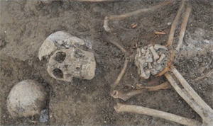 Couverture du film Les Chemins de la mémoire