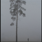 Couverture du film Chernobyl 4 ever