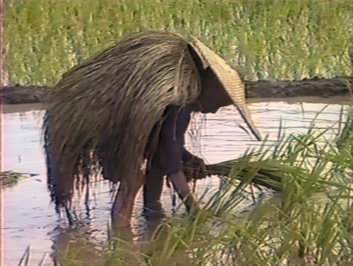 Couverture du film Chine 87, les autres