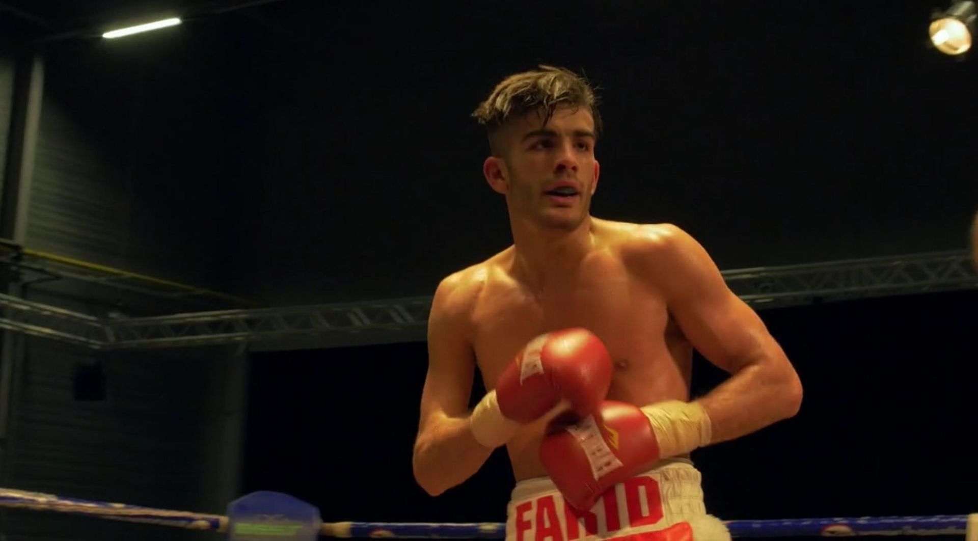 Couverture du film La chute