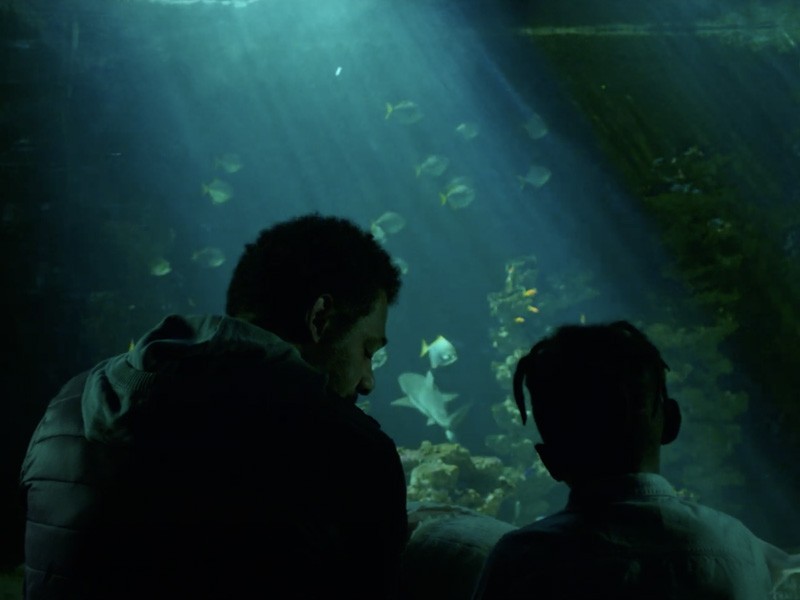 Couverture du film Coelacanthe