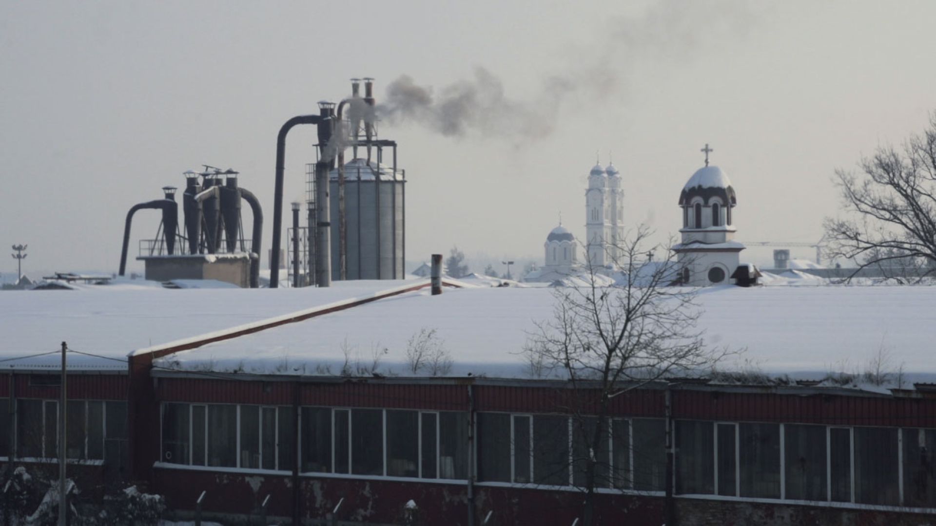 Couverture du film Common Grounds