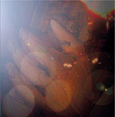 Couverture du film Commune présence