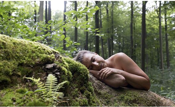 Couverture du film Compostez-moi