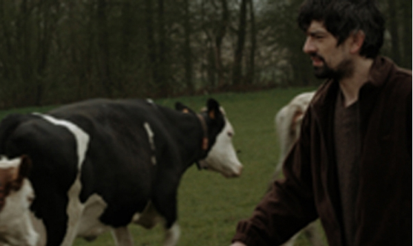 Couverture du film Le Conseiller