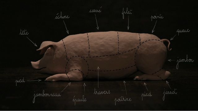 Couverture du film Dans le cochon tout est bon