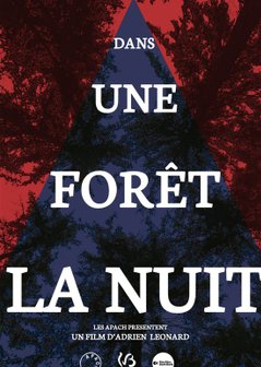 Couverture du film Dans une forêt la nuit