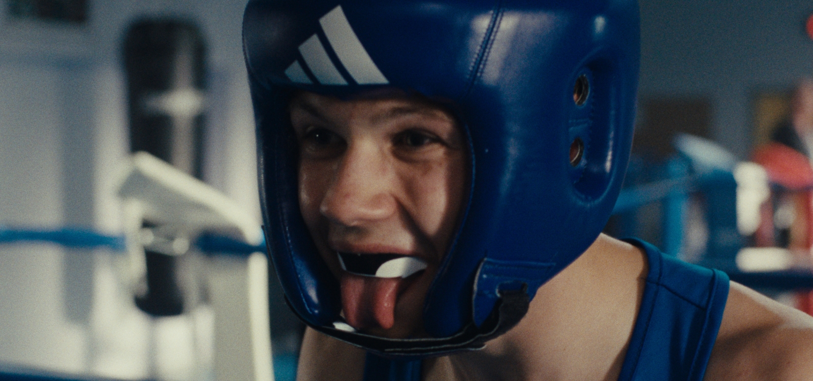 Couverture du film La Danse des renards