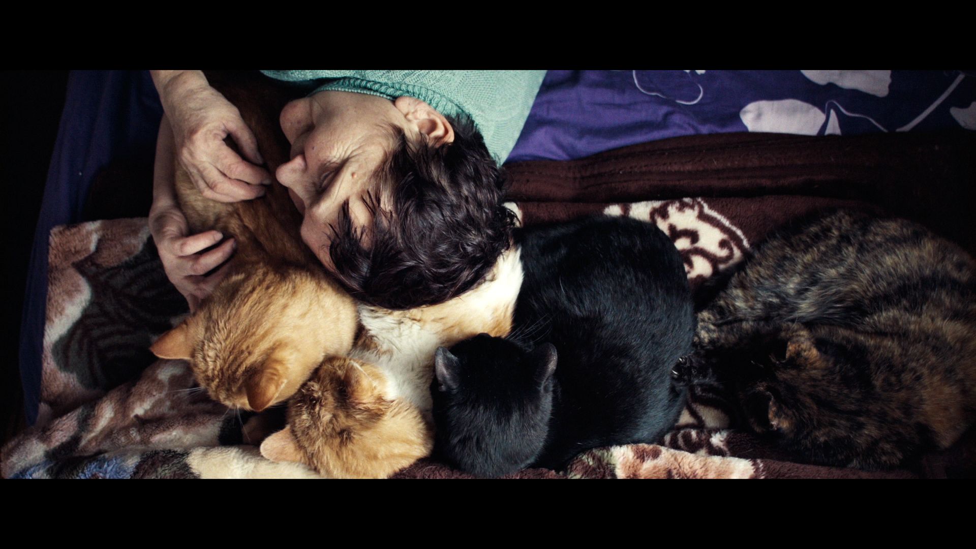 Couverture du film Deux âmes