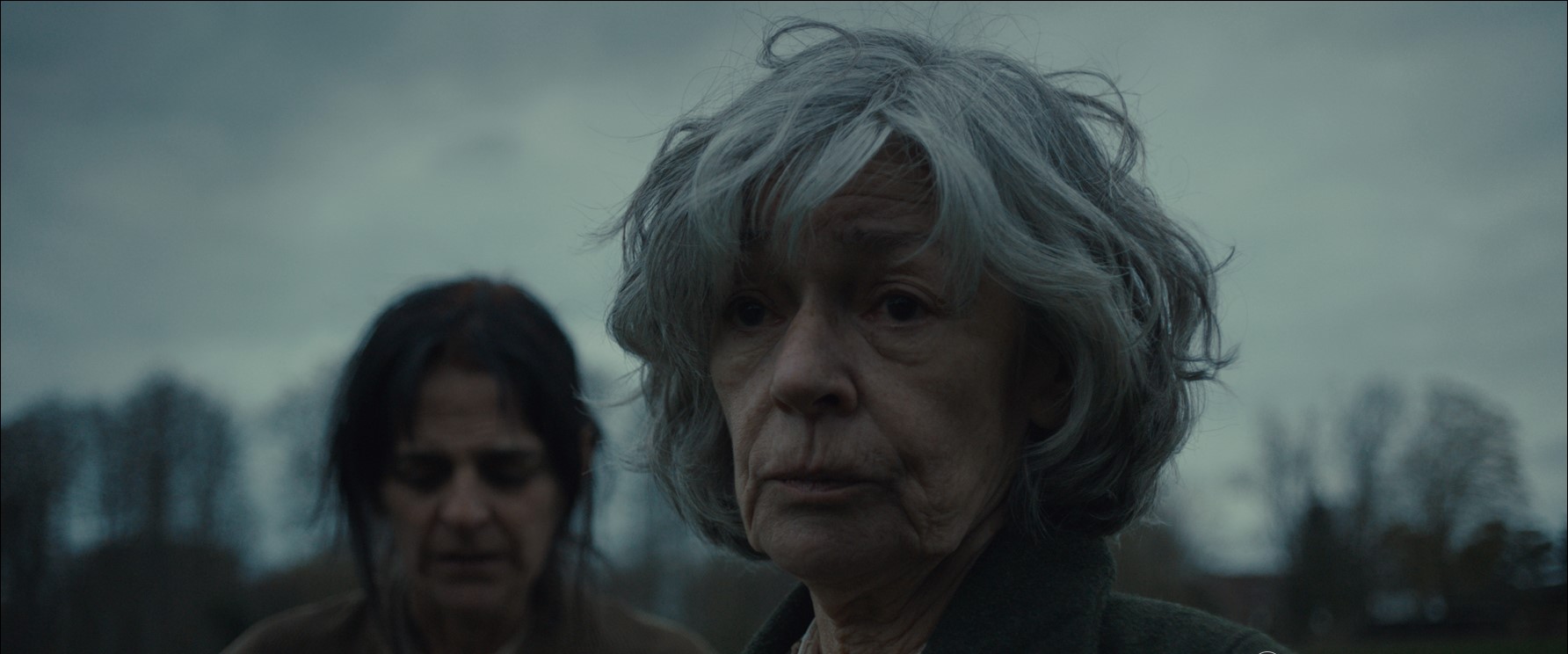 Couverture du film Donkerster