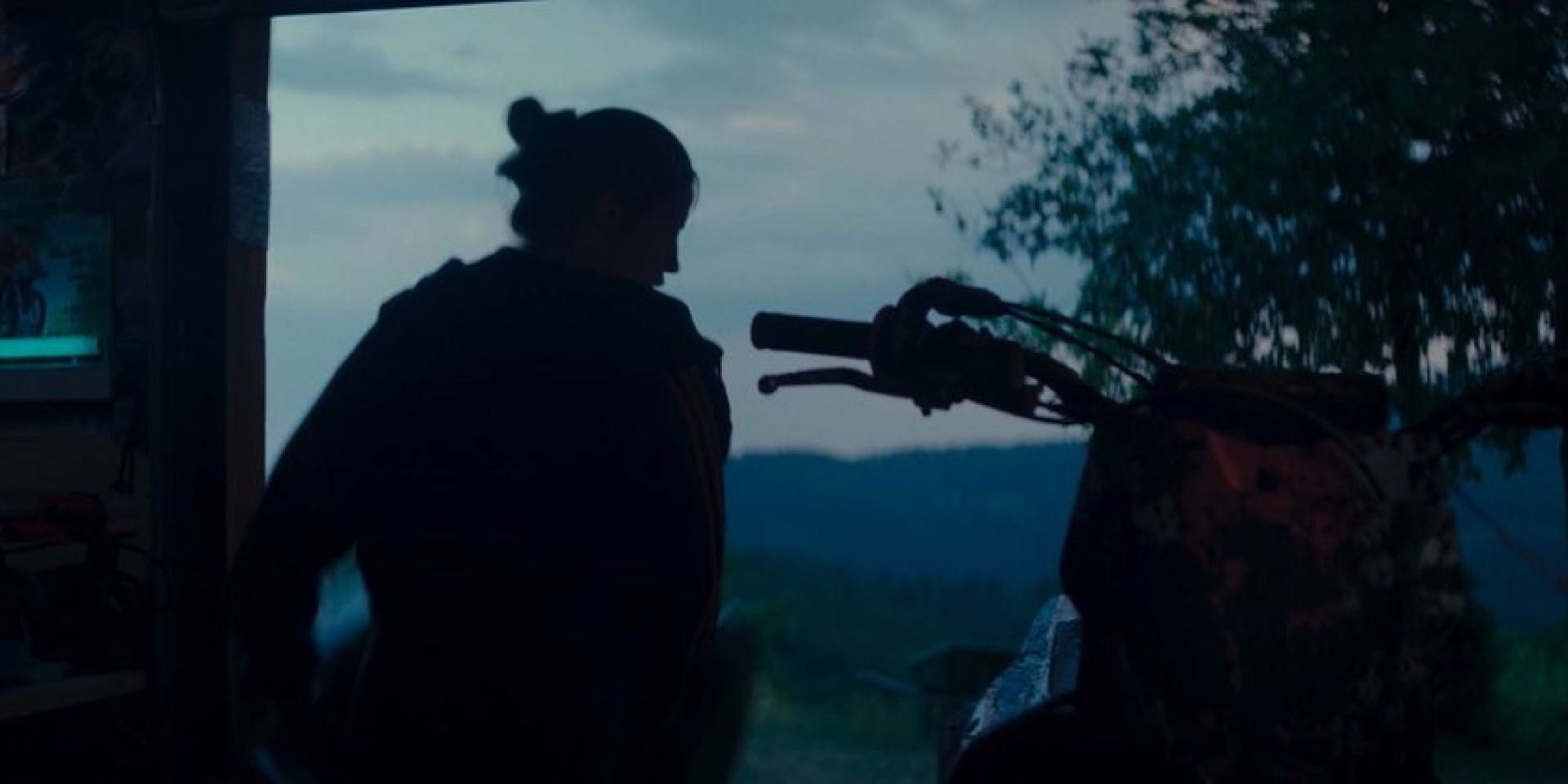 Couverture du film Drosera