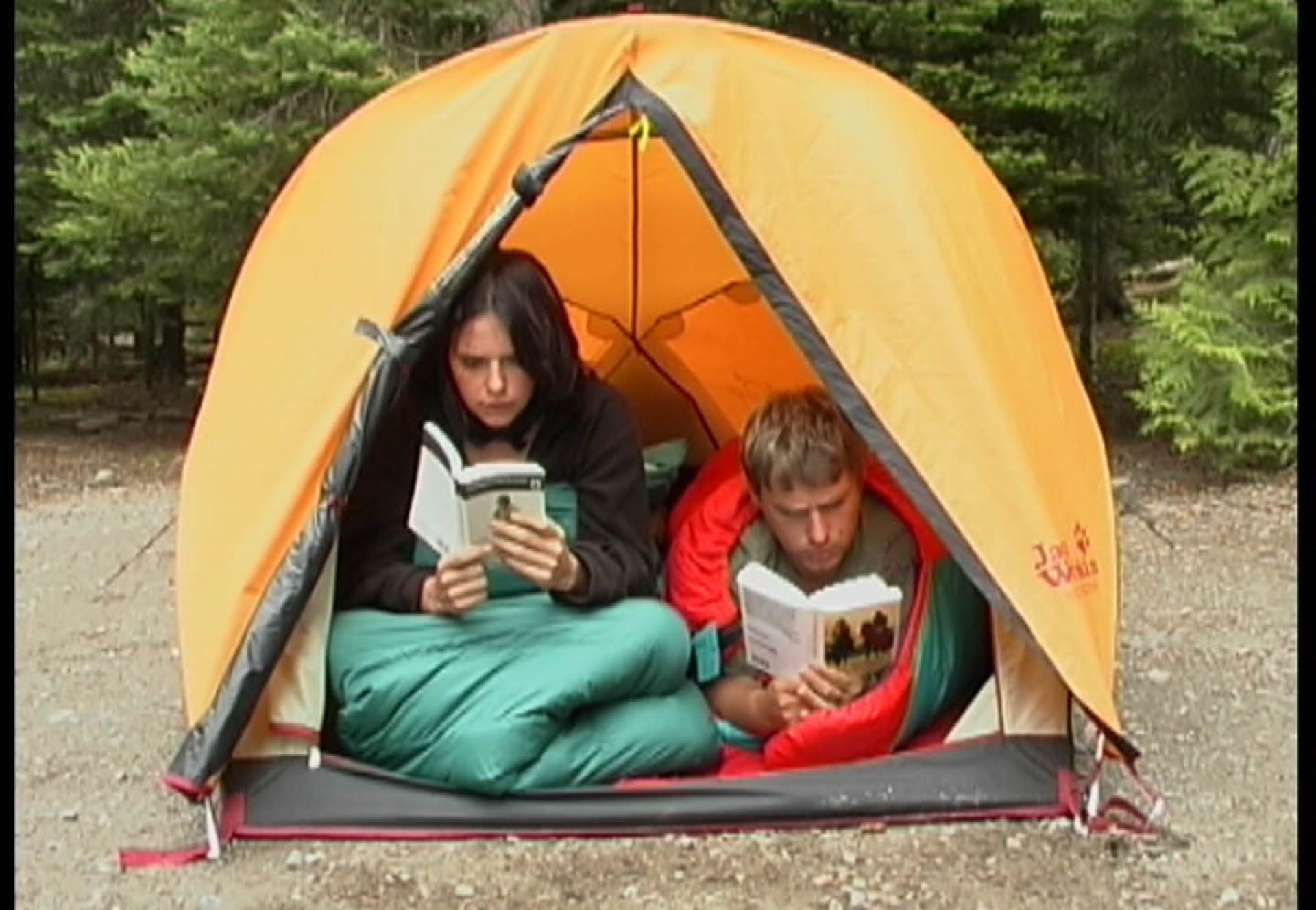 Couverture du film Echographie