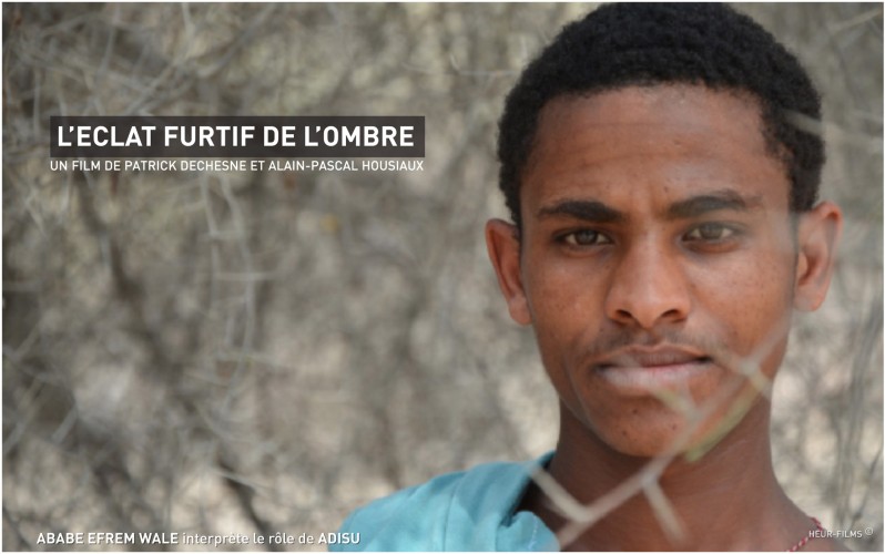 Couverture du film L'Eclat furtif de l'ombre