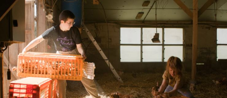 Couverture du film Élever au grain