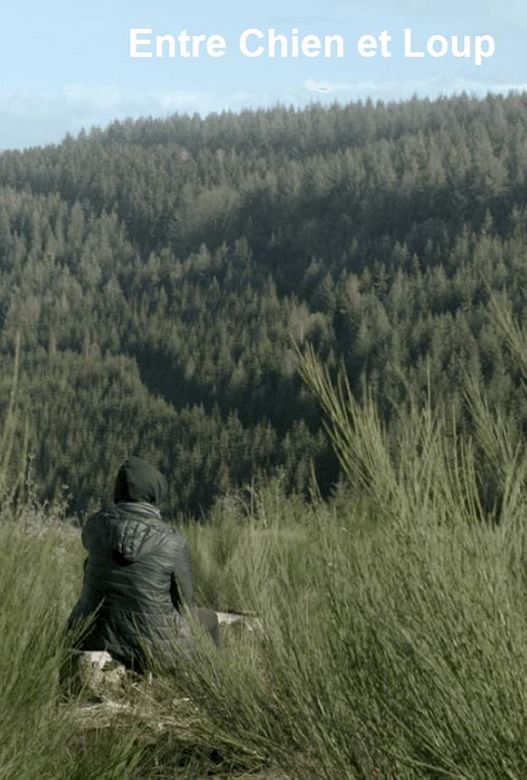Couverture du film Entre chien et loup