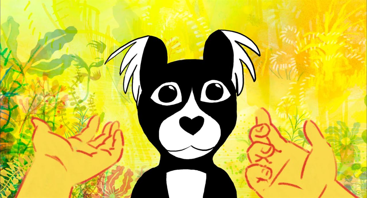 Couverture du film L' Extraordinaire voyage de Marona