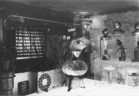 Couverture du film La Fabrique d'anges