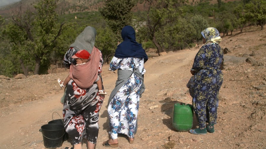 Couverture du film Fadma, même les fourmis ont des ailes