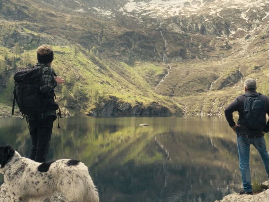 Couverture du film Fiore mio