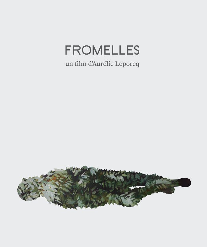 Couverture du film Fromelles