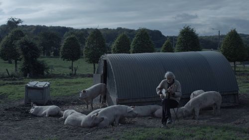 Couverture du film L'Histoire du cochon, en nous