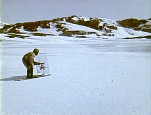 Couverture du film Igartalik, la vie groenlandaise