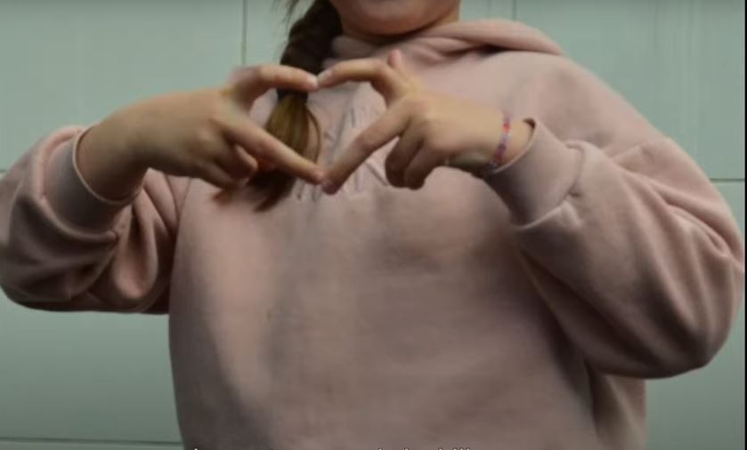 Couverture du film Ik zou je graag zien