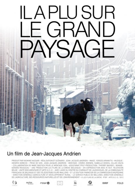 Couverture du film Il a plu sur le grand paysage
